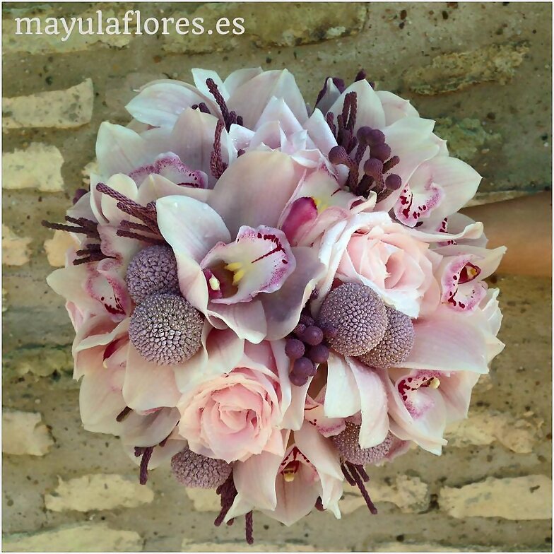 FLORES