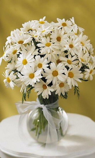 FLORES