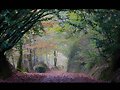 OTO&Ntilde;O