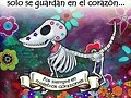 AMIGOS