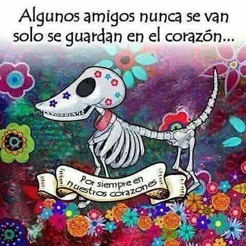 AMIGOS