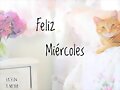 FELIZ MIERCOLES