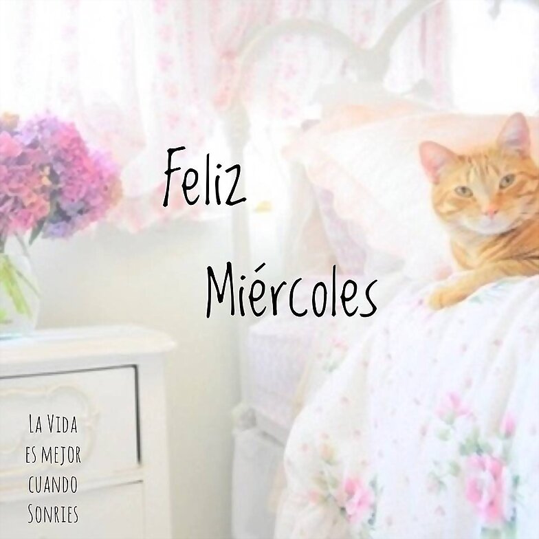 FELIZ MIERCOLES