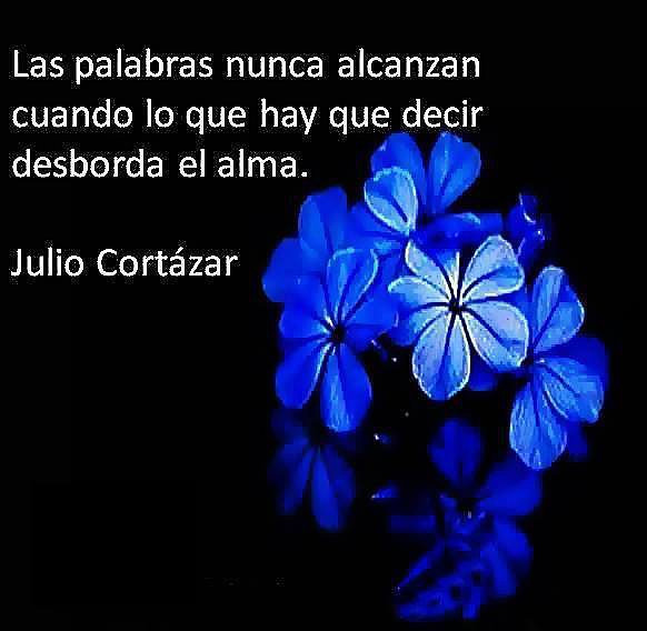 FRASES QUE ME GUSTAN