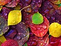 OTO&Ntilde;O