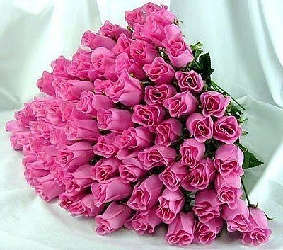 FLORES