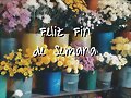FELIZ FINDE