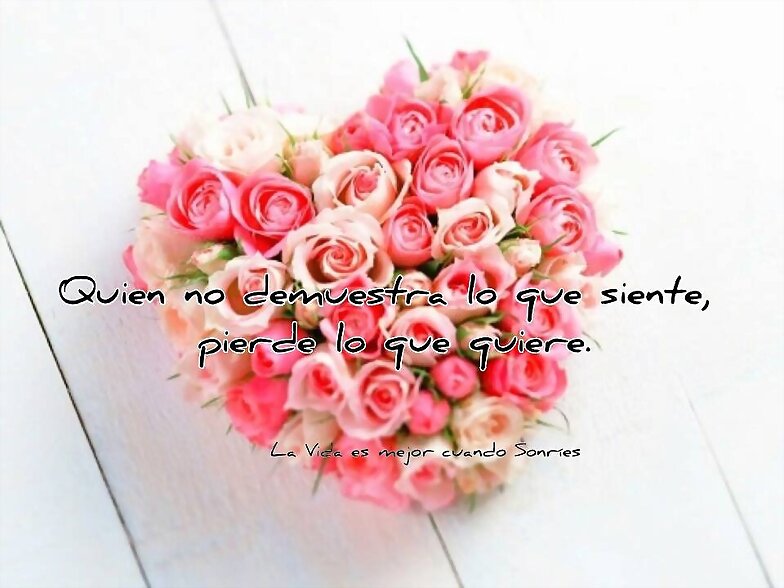 FLORES