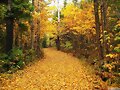 OTO&Ntilde;O