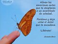 BUENOS DIAS, LUNES
