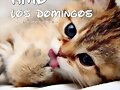 AMO LOS DOMINGOS &iquest;Y TU?
