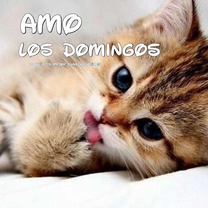 AMO LOS DOMINGOS ¿Y TU?