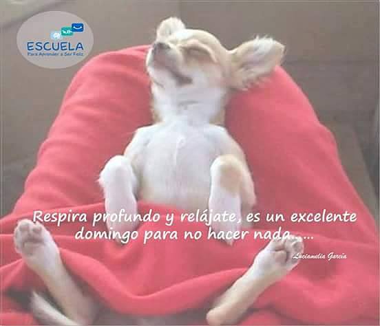 FELIZ DOMINGO