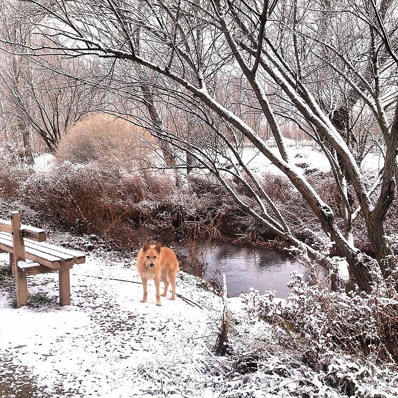 LLEGO EL INVIERNO
