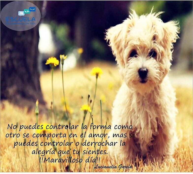 FELIZ LUNES Y FELIZ SEMANA