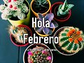 FLORES - FELIZ FEBRERO