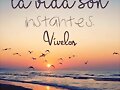 FELIZ LUNES Y FELIZ SEMANA