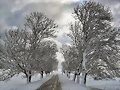 LLEGO EL INVIERNO