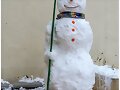 INVIERNO CON NIEVE
