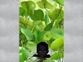 NI&Ntilde;OS DEL MUNDO