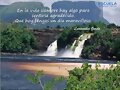 FELIZ MARTES... A PESAR DE LOS PESARES