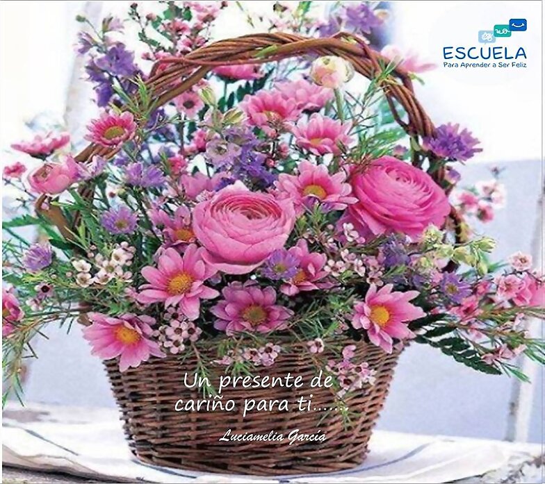 FLORES