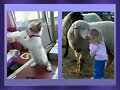 FOTOS CURIOSAS