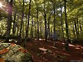 FOTOS GUAPAS - SIERRA DE URBASA