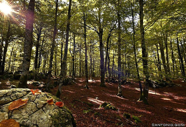 FOTOS GUAPAS - SIERRA DE URBASA