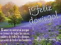FELIZ DOMINGO