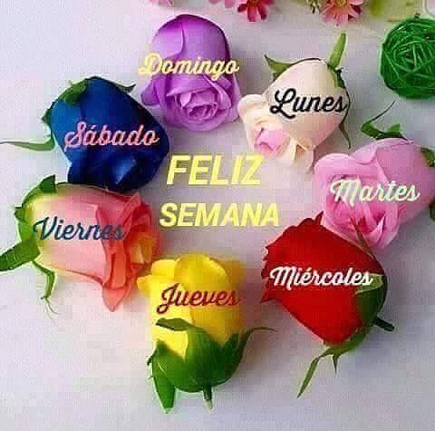 FELIZ LUNES Y FELIZ SEMANA