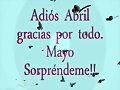 BIENVENIDO MAYO