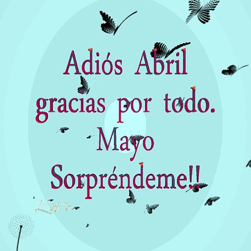 BIENVENIDO MAYO