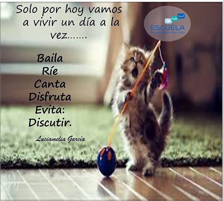 FELIZ LUNES