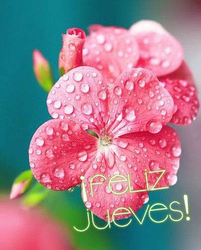 FELIZ JUEVES