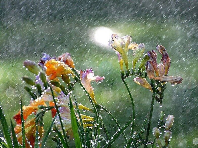 LLEGO LA PRIMAVERA CON AGUA