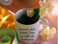 FELIZ VIERNES
