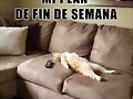 FELIZ FIN DE SEMANA