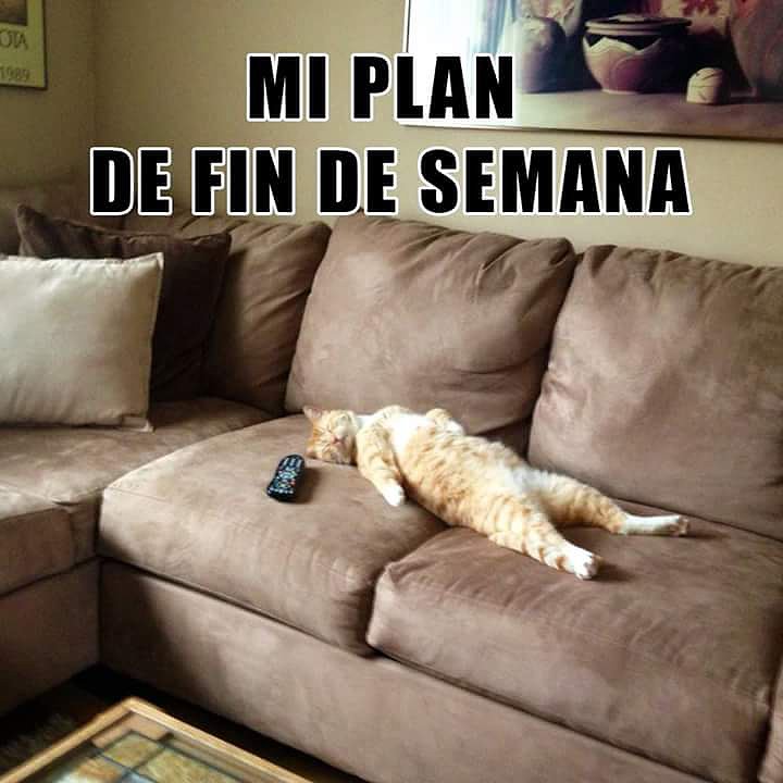 FELIZ FIN DE SEMANA
