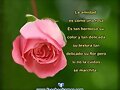 AMISTAD