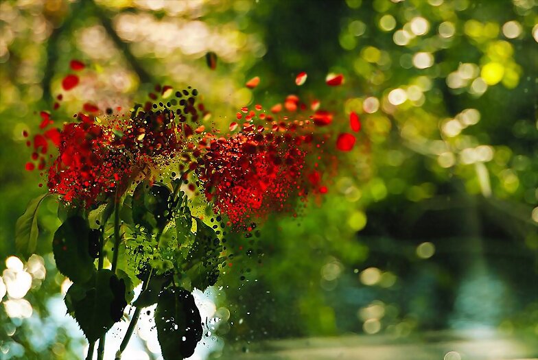 FLORES
