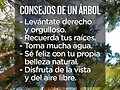 FRASES QUE ME GUSTAN