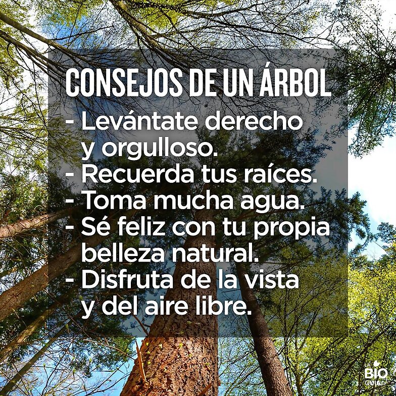 FRASES QUE ME GUSTAN
