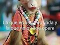 UNAS RISAS