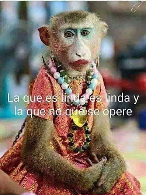 UNAS RISAS