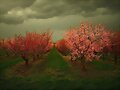 LLEGO LA PRIMAVERA