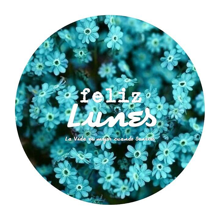 FELIZ LUNES Y FELIZ SEMANA