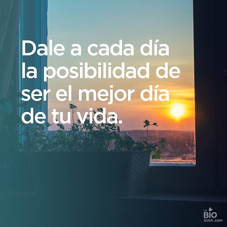 FELIZ MARTES