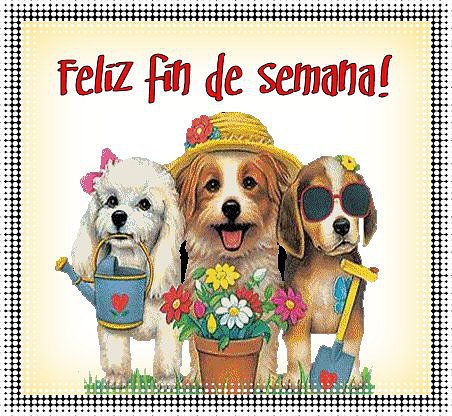 FELIZ FINDE