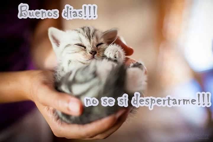 FELIZ MARTES